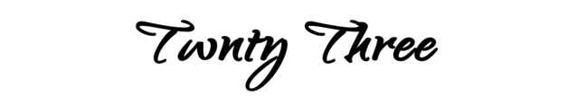 twenty-three