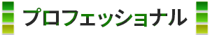プロフェッショナル宣言